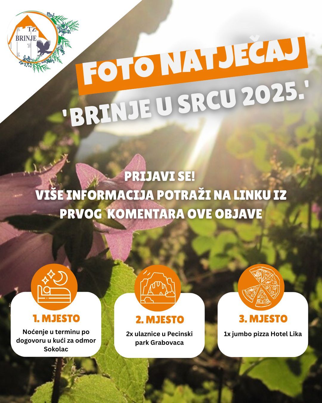 TZ Brinje