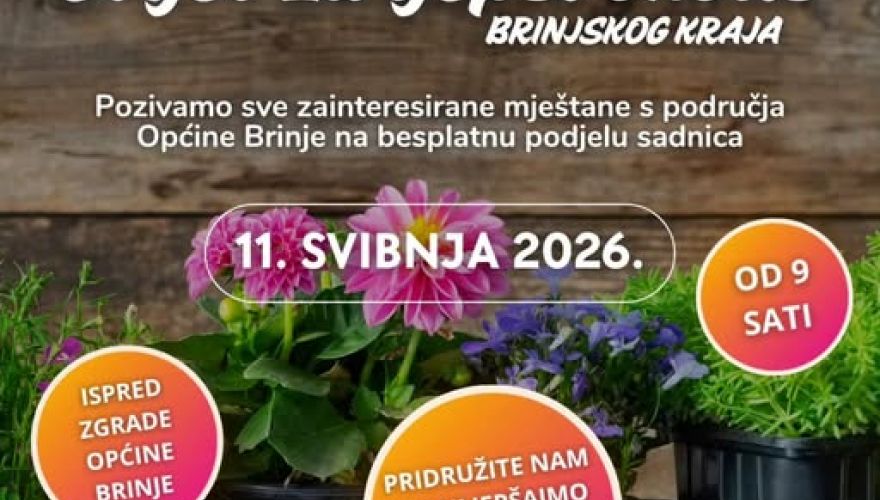 TZ Brinje