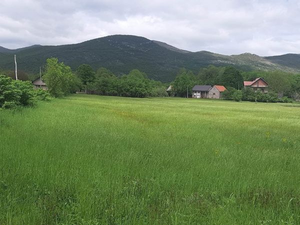Prirodni pesticidi efikasno štite usjeve