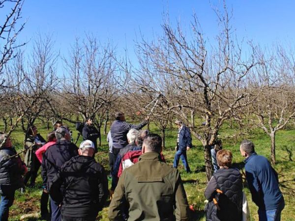 Razvojni centar Ličko-senjske županije organizira radionicu rezidbe voćaka