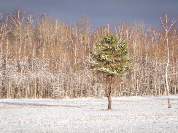Temperaturna inverzija uvijek „gura po svom“