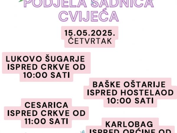 Sutra podjela sadnica cvijeća u Karlobagu i okolici