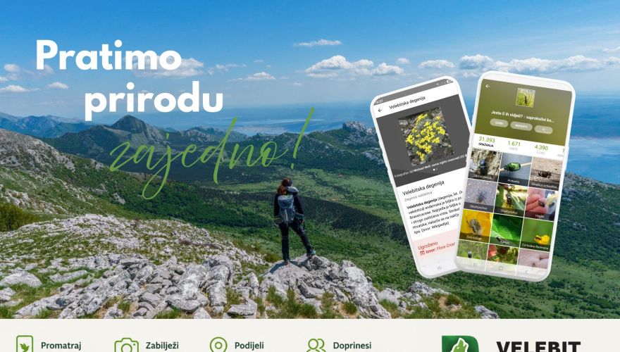 PP Velebit
