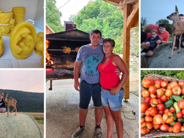 Zdenka Sertić - Jedna sasvim obična žena, majka, baka i kraljica