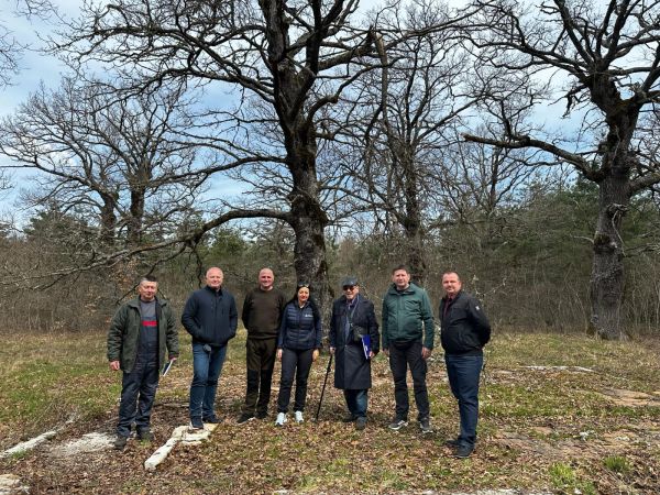 Uskoro početak radova na projektu “Učionica na otvorenom” u posebnom rezervatu šumske vegetacije Laudonov gaj