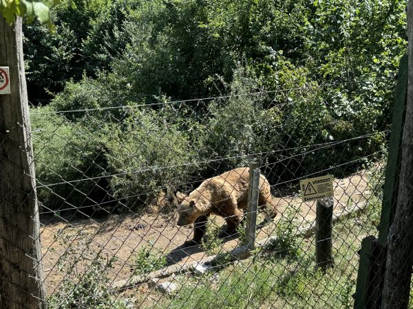 Iz Kutereva otišli volonteri, a stigao snijeg