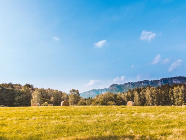 Objavljen natječaj za obnovu poljoprivrednog potencijala