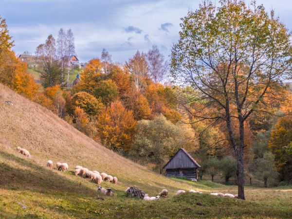 Odobrena potpora za unapređenje uvjeta stanovanja mladih poljoprivrednika