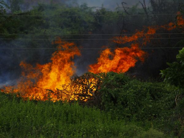 Požari počinju nemarom: Hrvatske šume u kampanji ‘Ma neće biti ništa’”
