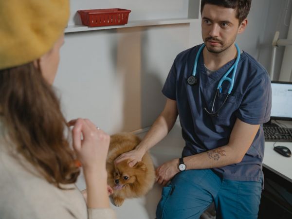Otvorena veterinarska ambulanta u Udbini Otvorena veterinarska ambulanta u Udbini