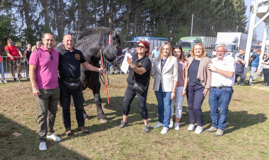 VIDEO Jesen u Lici – Prisjetimo se proglašenja najbolje ocjenjenih grla konja