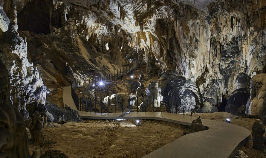 Balkan Cavers Camp stiže u Cerovačke špilje