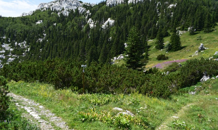 Nacionalni park Sjeverni Velebit danas slavi svoj 25. rođendan