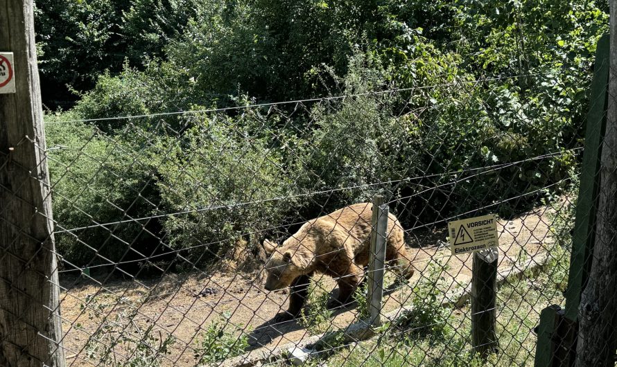 Iz Kutereva otišli volonteri, a stigao snijeg