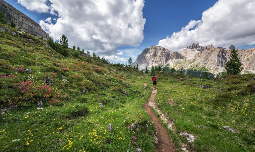 Uskoro peti po redu Barać Forest Trail