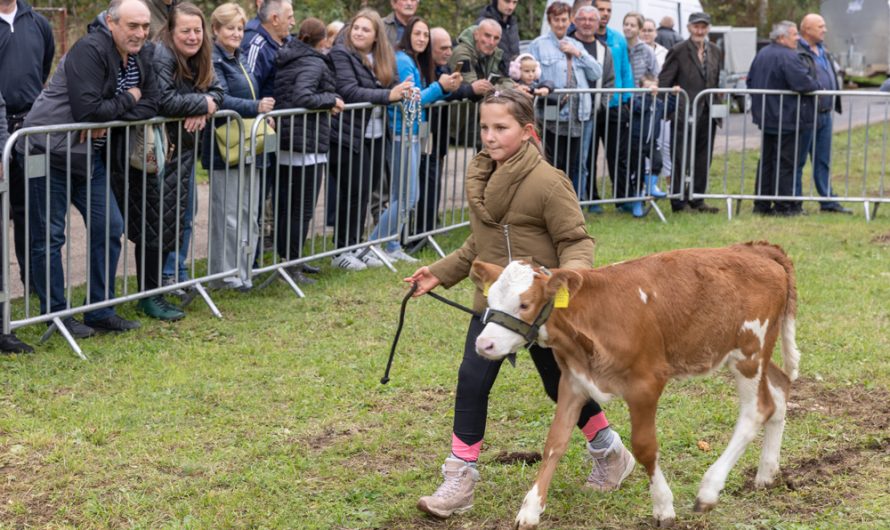 FOTO / Otvorene izložbe ličke pramenke i buše na “Jeseni u Lici”