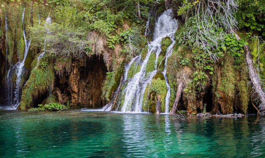 Promotivni tjedan na Plitvicama – ne propustite jesensku čaroliju jezera uz veliki popust na ulaznice